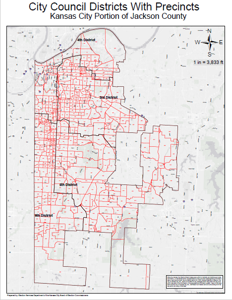 City Council Districts wtih Precincts Map