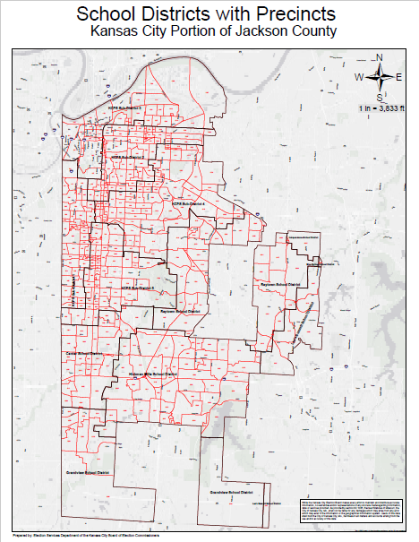 School Districts with Precincts Map